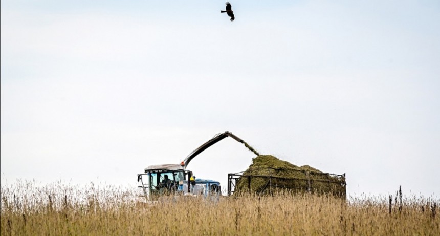  Arranca el dólar agro y el Gobierno proyecta una liquidación de US$9.000 millones 