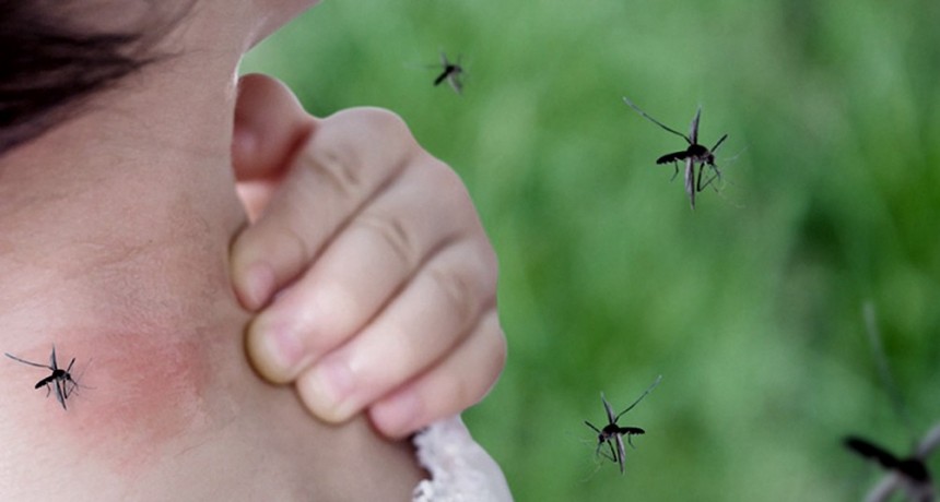  Argentina “vive el mayor brote de dengue”, superior al de 2016 y 2020 