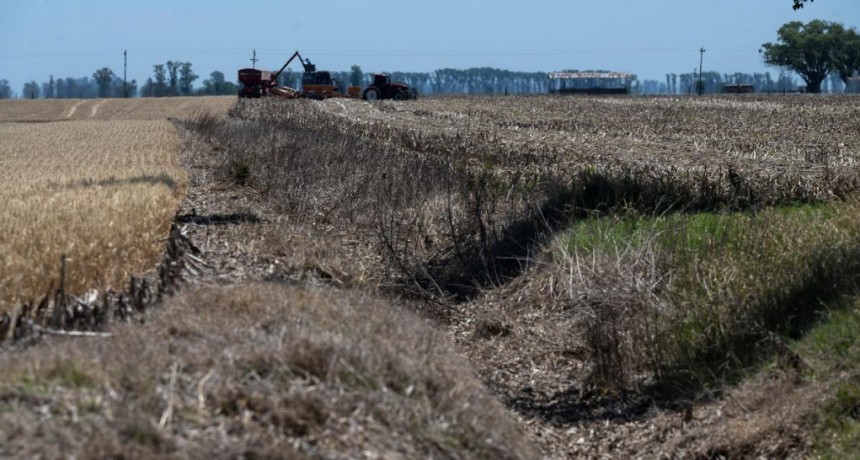  Serán automáticos los beneficios para los productores afectados por la sequía 