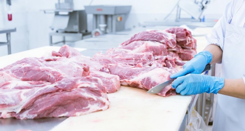  Cuáles són los precios de los cortes de carne que integran Precios Justos 