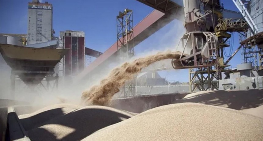  Agroexportadores liquidaron casi US$ 94 millones 