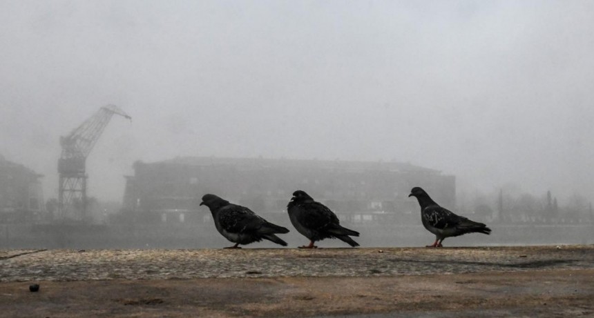  Lunes con neblina, humo y probables lloviznas por la tarde en CABA y alrededores 