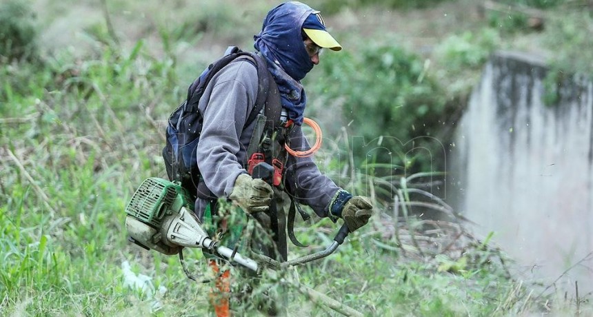  Suman m&aacute;s de 20.000 los casos de dengue en Tucum&aacute;n 
