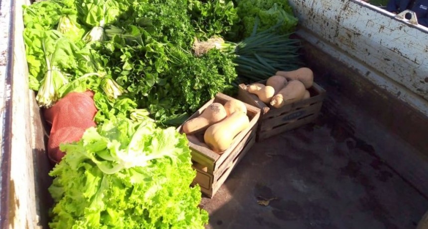 Nueva entrega de verduras del Parque Hortícola a la Secretaría de Desarrollo Social