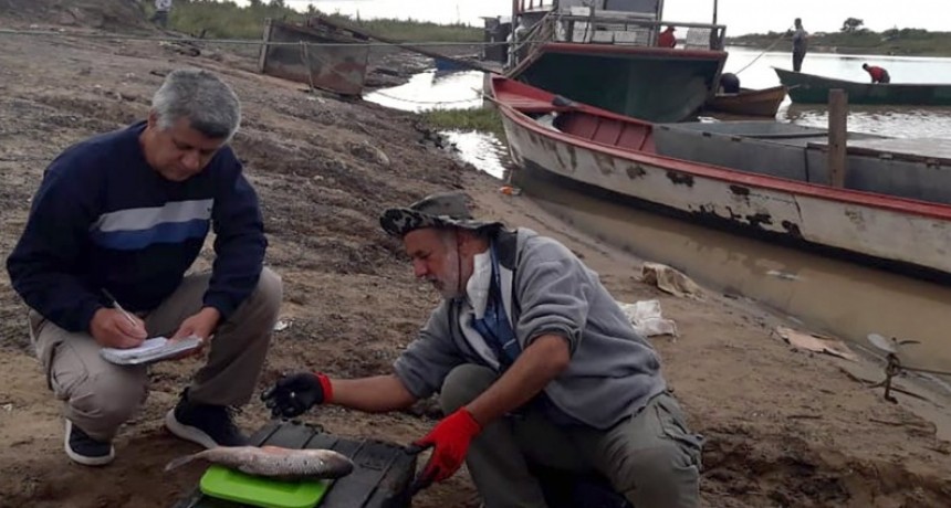 Brindan detalles sobre la bajante del río Paraná y preservación del recurso ictícola
