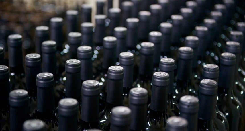  Crece en la Argentina la producci&oacute;n vitivin&iacute;cola org&aacute;nica, as&iacute; como el consumo 
