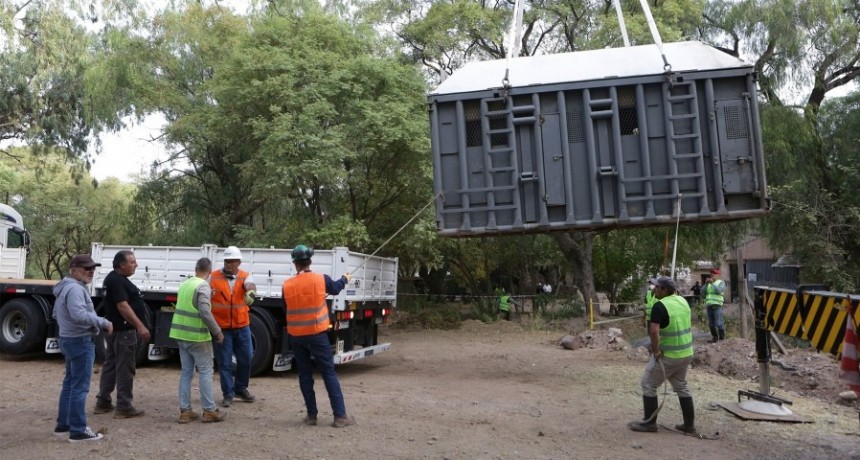  Las dos elefantas, pr&oacute;ximas a llegar a Brasil "en buen estado y tranquilas" 