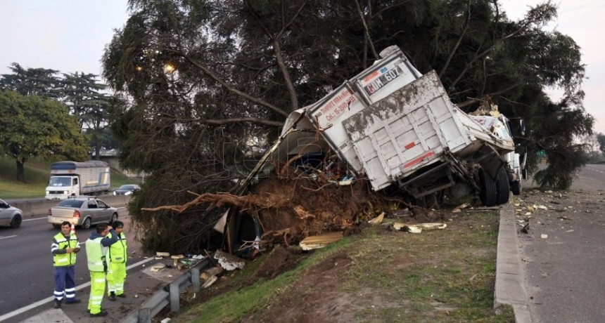  Impactante choche: un cami&oacute;n atraves&oacute; el guardarra&iacute;l y derrib&oacute; un &aacute;rbol 