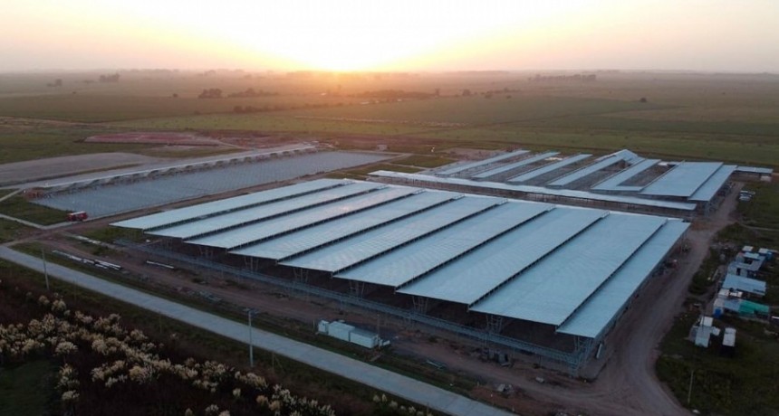  Comienza a funcionar el nuevo mercado de Ca&ntilde;uelas 