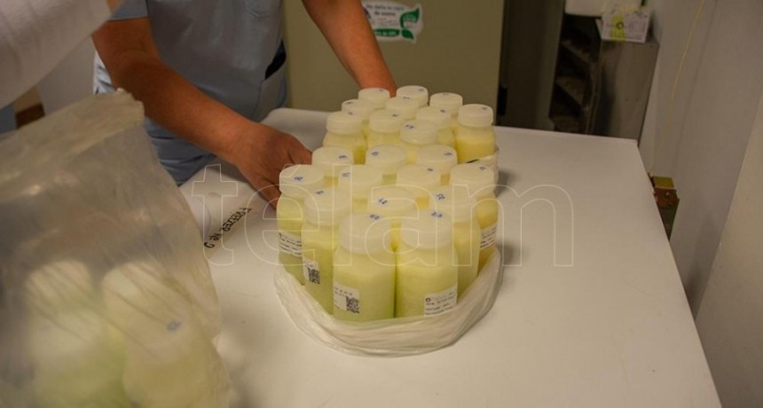  Proponen donar leche materna para mejorar la salud de los beb&eacute;s prematuros o enfermos 