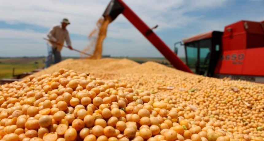  Productores vendieron más de 326.000 toneladas de soja y acumulan 3,18 millones 