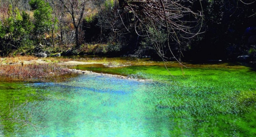  Las Reservas Naturales de la Defensa protegen más de 400 mil hectáreas de ecosistemas argentinos 
