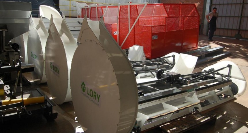  Concentrada en Misiones, la producción de té genera US$ 81 millones 