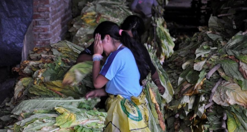  Hay 50 millones de personas en el mundo que viven bajo formas de 