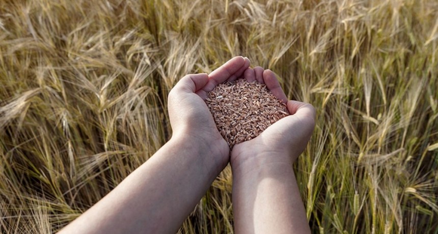  Dólar agro: el Ministerio de Economía incluyó más productos de economías regionales 