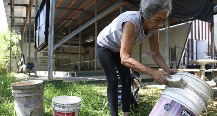  Tucum&aacute;n lleva registrados m&aacute;s de 30 mil casos de dengue desde febrero 