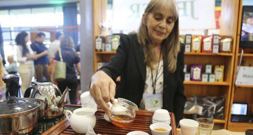  Expo Té Argentina: la milenaria bebida mostró todo su potencial en Misiones 