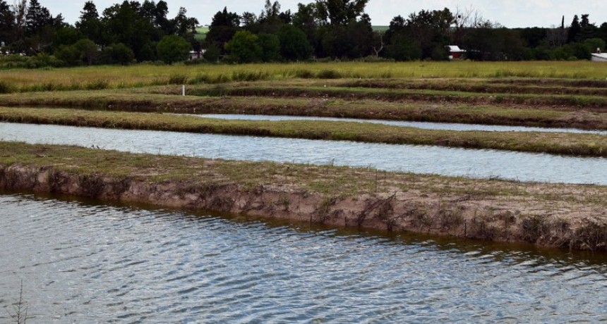 La provincia adhirió por ley al Régimen Nacional de promoción de la Acuicultura