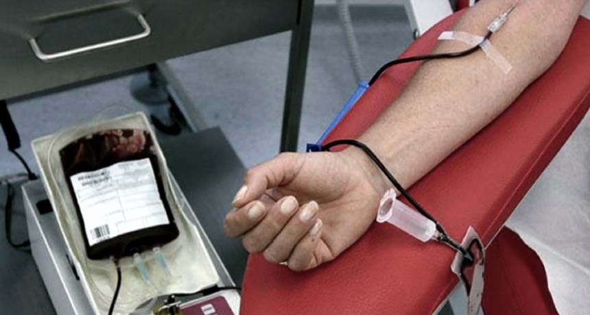 Los bancos de sangre recuperan los niveles prepand&eacute;micos en Argentina 