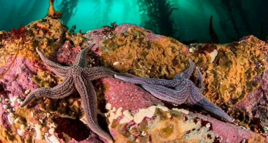 La UE destinará 3 millones de euros para proteger la biodiversidad en la Patagonia