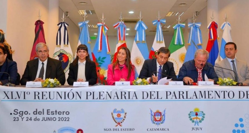 Subsidio del transporte, falta de gasoil y obras, entre los temas que unen al Norte Grande 