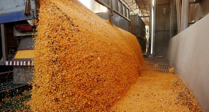  Finaliz&oacute; el "d&oacute;lar soja 3" con US$ 5.100 millones liquidados y 8,5 de toneladas vendidas 