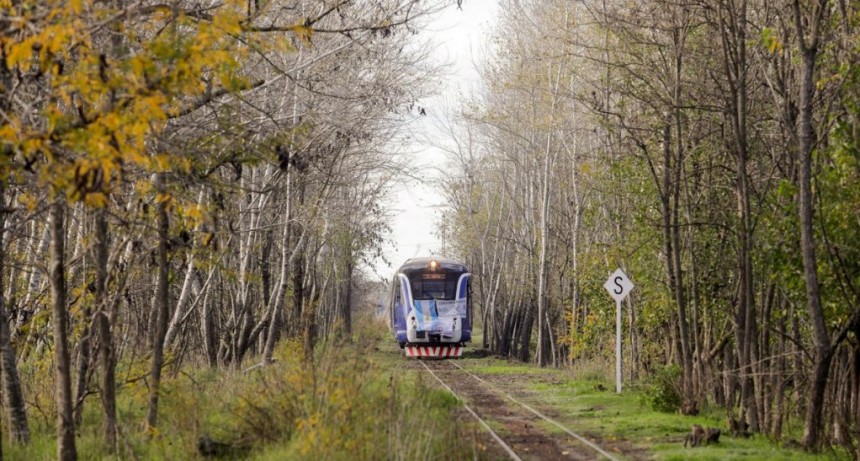  Abrieron la venta de pasajes en trenes de larga distancia para viajar en julio a distintas ciudades 