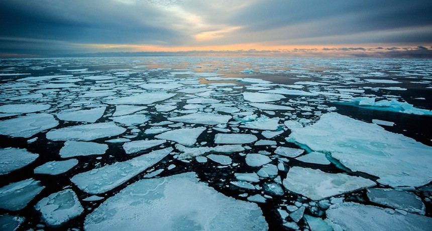  Científicos alertan que el Océano Ártico puede quedarse sin hielo para 2030 