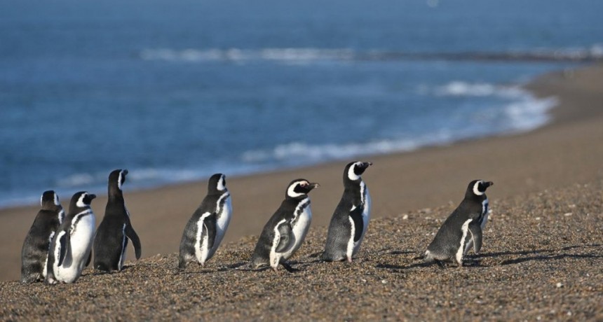  Récord: Casi 620 mil turistas no residentes visitaron la Argentina durante abril 