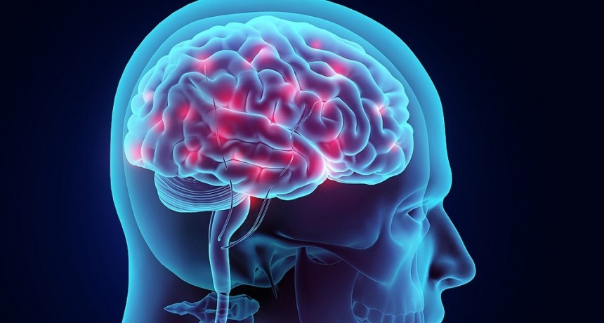  Tumores cerebrales: ¿cuáles son los signos de alerta? 