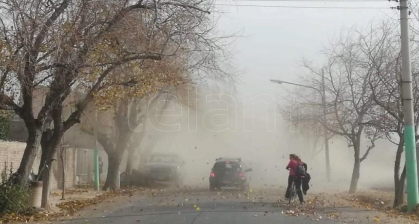  Suspensión de clases, árboles caídos y cortes de luz por el viento Zonda 