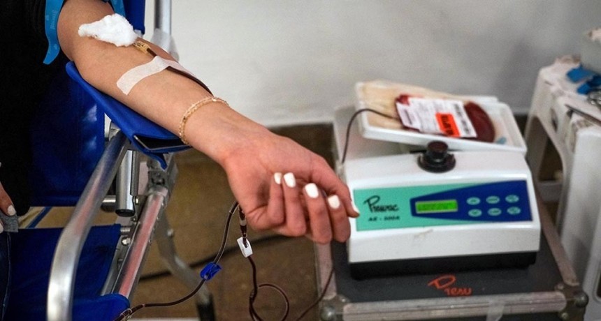  Abren un Registro de Donantes de Plaquetas en el Hospital Garrahan 