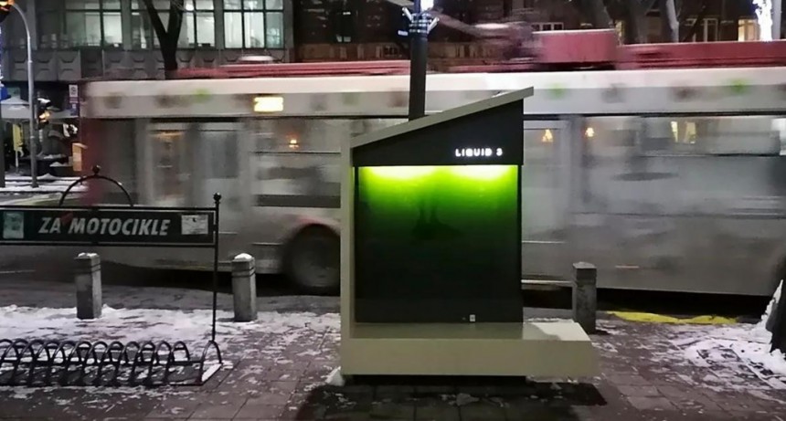  Qu&eacute; son los "&aacute;rboles l&iacute;quidos" y c&oacute;mo pueden ayudar a reducir la contaminaci&oacute;n 