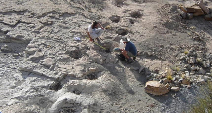  Avanza el museo a cielo abierto en el Parque Huellas de Dinosaurios en Malargüe 