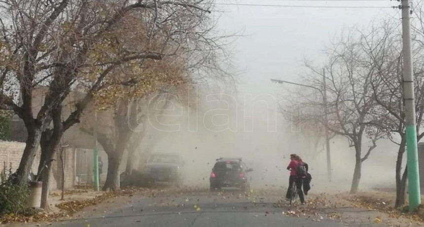  Mendoza: suspendieron las clases y hay 300 casos notificados de da&ntilde;os por el viento Zonda 