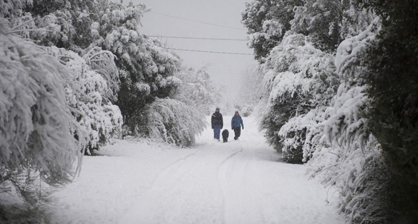  Alerta amarilla por nevadas, vientos intensos y viento Zonda en diez provincias 