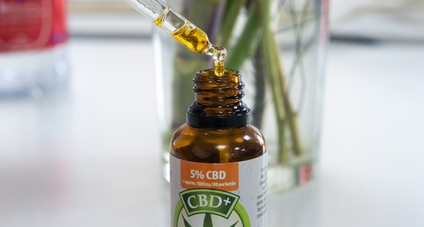  La Corte Suprema aval&oacute; el control estatal para autocultivo de cannabis para uso medicinal 