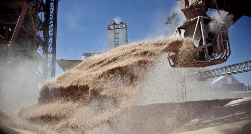  Ucrania espera que esta semana se retome la exportación de cereales 