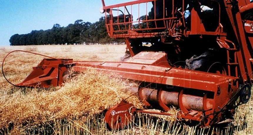  El sector agroexportador liquidó US$ 19.100 millones y quedan 21.400 millones por exportar 