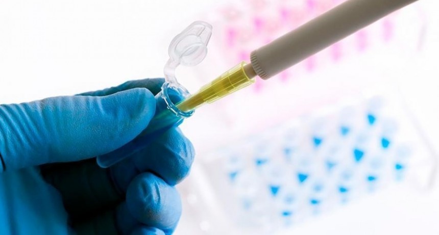  Estudios aseguran que el Sars CoV-2 se originó en Wuhan y no en un laboratorio 