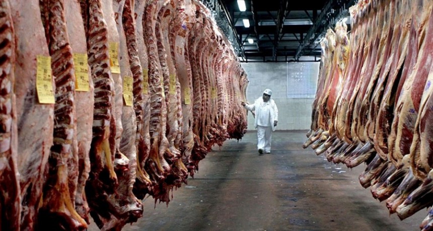  Aprobaron la distribución de 29.500 toneladas para el período 2022-2023 