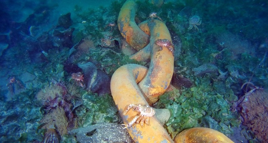  Comienza la expedici&oacute;n submarina hasta los restos del "Titanic argentino" 