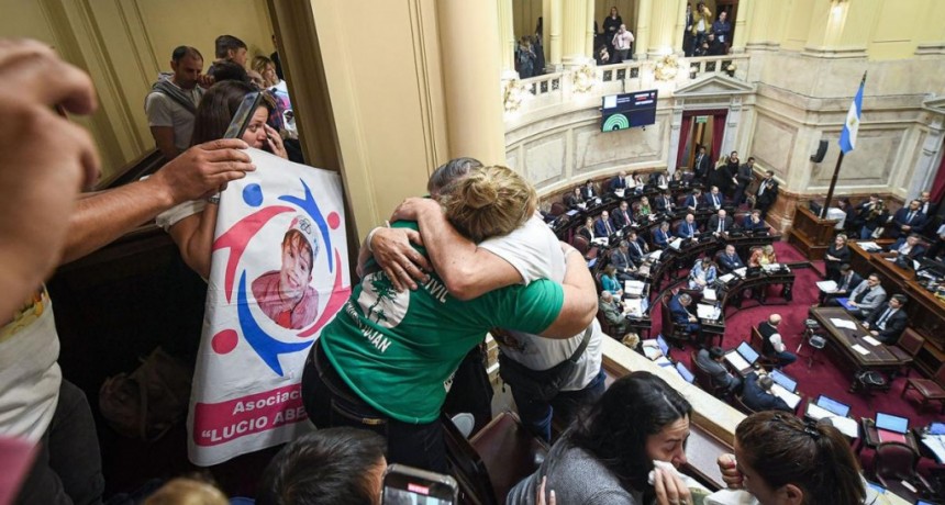  Ley Lucio: los detalles de la reglamentación que comienza a regir hoy 
