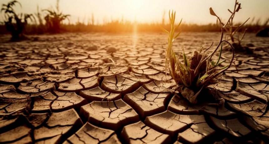  El cambio climático hizo que las olas de calor sean más largas y frecuentes 