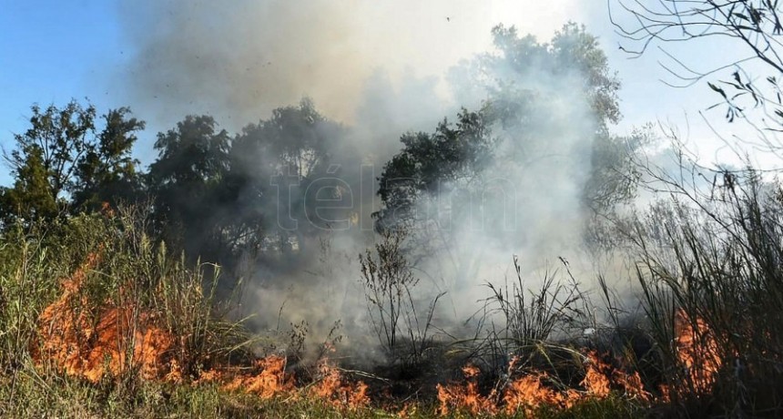  Combaten nuevos incendios sobre islas del delta del río Paraná 