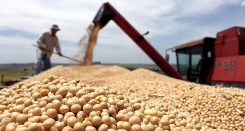  Bahillo adelantó que simplificarán el régimen para la liquidación de exportaciones de soja 