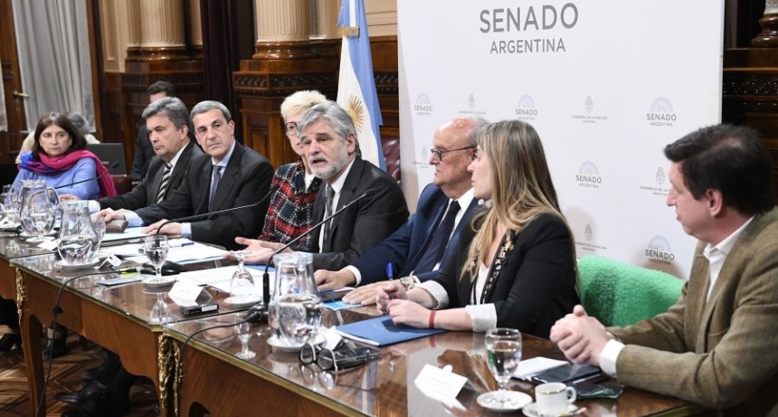  Dictamen para el proyecto de promoción y desarrollo de la bio y nanotecnología 