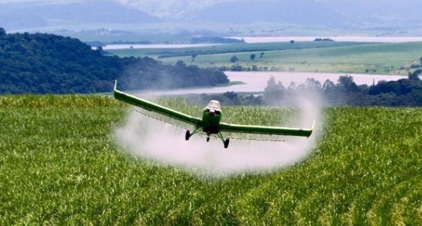  Colombia suspendió el uso de glifosato y la erradicación forzada de cultivos de cocaína 