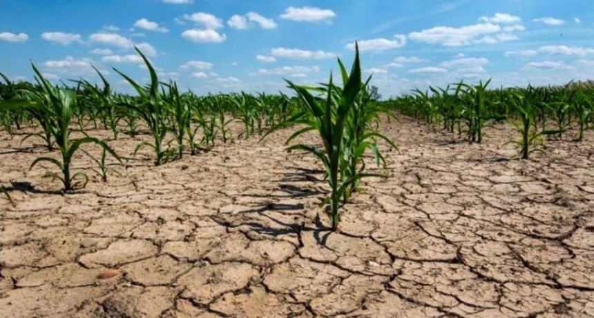  Prevén que se fortalezca La Niña: se agravaría la sequía con pérdidas para el agro 