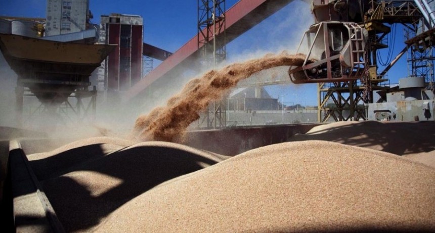  Las exportaciones de granos podrían superar un 